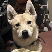 Thumbnail photo of Bruce #1