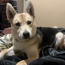 Thumbnail photo of Bruce #4