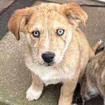 Thumbnail photo of Atlas #1