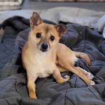 Thumbnail photo of Miracle #1