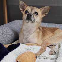 Thumbnail photo of Miracle #2