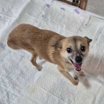 Thumbnail photo of Miracle #3