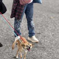 Thumbnail photo of Miracle #4