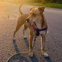 Thumbnail photo of Tasha #2