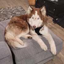 Thumbnail photo of Kayzo #2