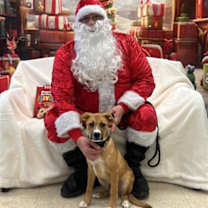 Thumbnail photo of Apollo #1