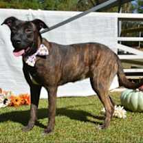 Thumbnail photo of DJ #2