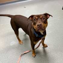 Thumbnail photo of Chuck #3