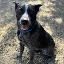 Thumbnail photo of KYLE #2