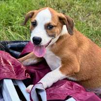 Thumbnail photo of Georgia #2