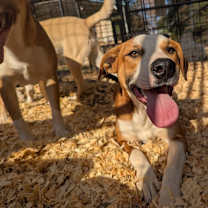 Thumbnail photo of Georgia #4