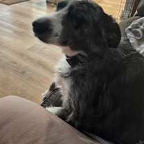 Thumbnail photo of Pepper #3