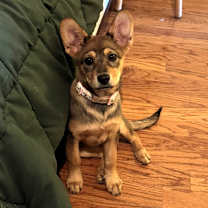 Thumbnail photo of Destiny #3