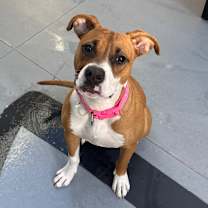 Thumbnail photo of Kenzie #1