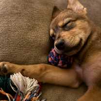 Thumbnail photo of Destiny #4