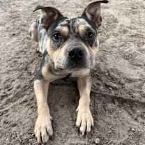 Thumbnail photo of Fletcher #1