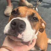 Thumbnail photo of Kenzie #3