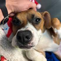 Thumbnail photo of Kenzie #4