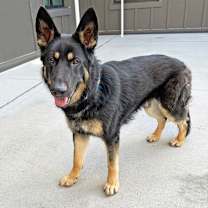 Thumbnail photo of Clyde #3