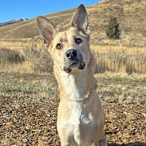 Thumbnail photo of Adele #4