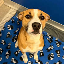 Thumbnail photo of Forest #3