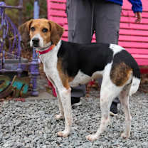 Thumbnail photo of Partner #2