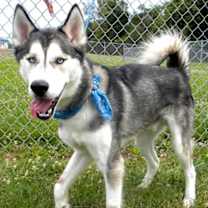 Thumbnail photo of Hermes #2