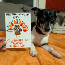 Thumbnail photo of Daisy #4