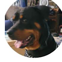 Thumbnail photo of Stella #2