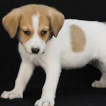 Thumbnail photo of Verse #2