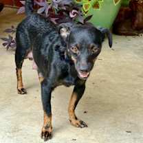 Thumbnail photo of Tabitha #3