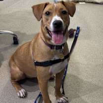 Thumbnail photo of Wiggles #1