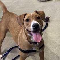 Thumbnail photo of Wiggles #2