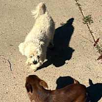 Thumbnail photo of TUNA & MACK #1