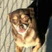 Thumbnail photo of TUNA & MACK #3