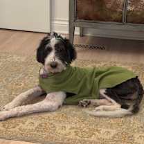 Thumbnail photo of Jolly #2