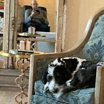 Thumbnail photo of Jolly #3