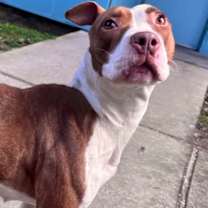 Thumbnail photo of Pixel #1