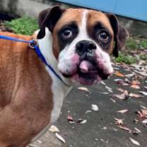 Thumbnail photo of Andrew-Joseph-White #2