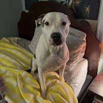 Thumbnail photo of Sugar #2