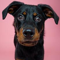 Thumbnail photo of Smalls #3