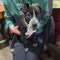 Thumbnail photo of Thanksgiving #1