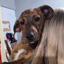 Thumbnail photo of Rosa #1