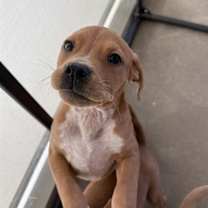 Thumbnail photo of Green #1