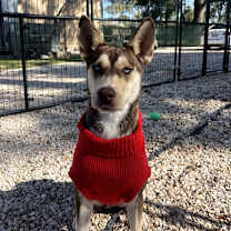 Thumbnail photo of Gemma #1