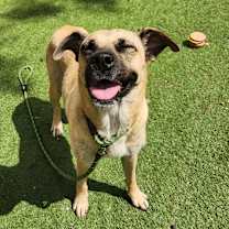 Thumbnail photo of Frances JuM #1