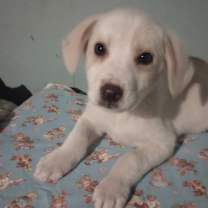 Thumbnail photo of Max #1