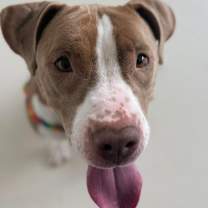 Thumbnail photo of Caily #3