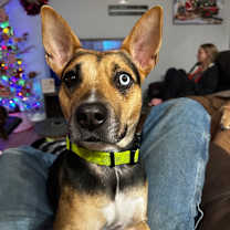 Thumbnail photo of Scram #2