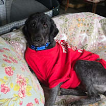 Thumbnail photo of Snow White  #1